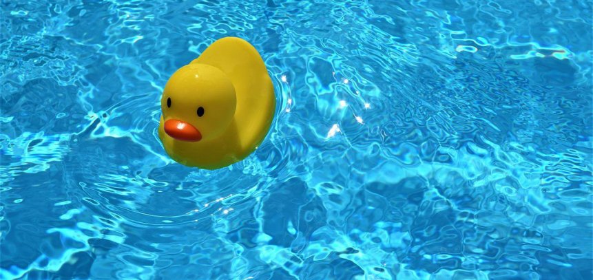 Kültéri Kacsa medence üzemelése